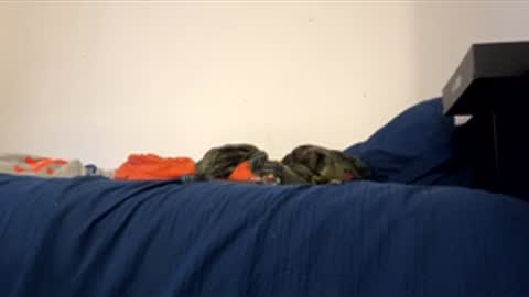 nikogigiii online show from 01.17.26