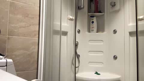 Niks online show from 12.15.25