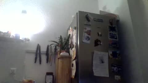 nilsberlin99 online show from 02.08.26