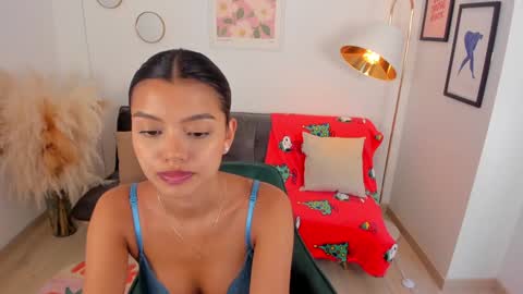 Snapshot of nina_agdal chatting on 12.02.24 NINA online show from 12.02.24