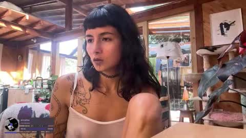 Nina.  online show from 11.30.25