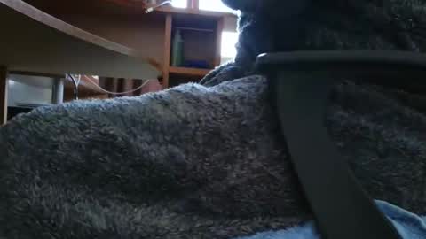 Snapshot of nineinchhard chatting on 03.06.25 nineinchhard online show from 03.06.25