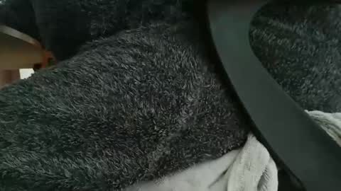 Snapshot of nineinchhard chatting on 10.22.25 nineinchhard online show from 10.22.25