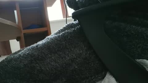 Snapshot of nineinchhard chatting on 10.30.25 nineinchhard online show from 10.30.25