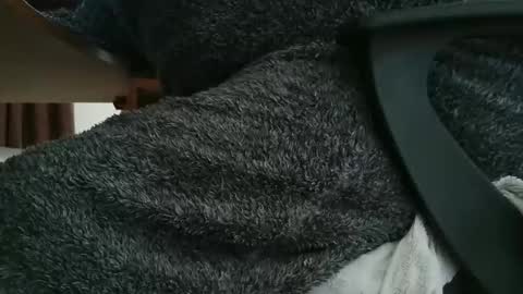 Snapshot of nineinchhard chatting on 11.06.25 nineinchhard online show from 11.06.25