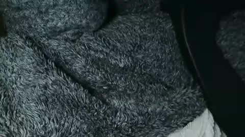 Snapshot of nineinchhard chatting on 11.28.25 nineinchhard online show from 11.28.25