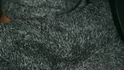 Snapshot of nineinchhard chatting on 12.16.25 nineinchhard online show from 12.16.25