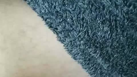 nineinchhard online show from 01.12.26