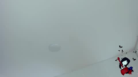 Noah  online show from 10.29.25