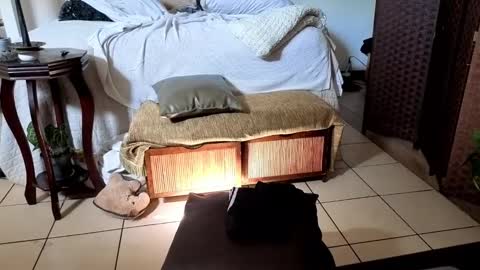 nobudget06 online show from 02.16.25