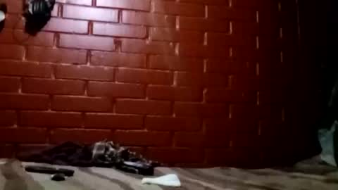 nocturnus1980 online show from 02.02.26