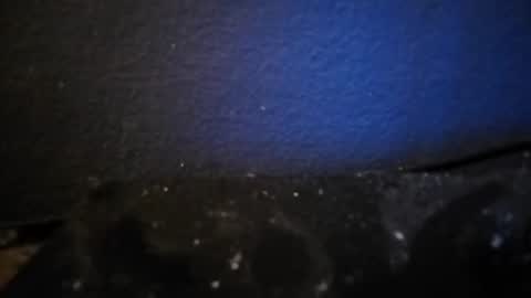 Nocycle000 online show from 09.14.25