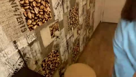 Abri online show from 03.22.26