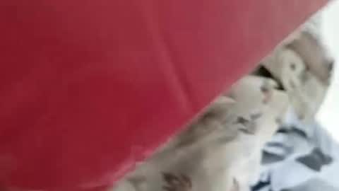 Snapshot of nooby942461 chatting on 01.04.25 sim nib online show from 01.04.25