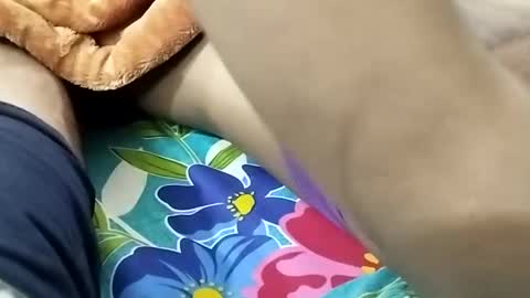 Snapshot of nooby942461 chatting on 01.09.25 sim nib online show from 01.09.25