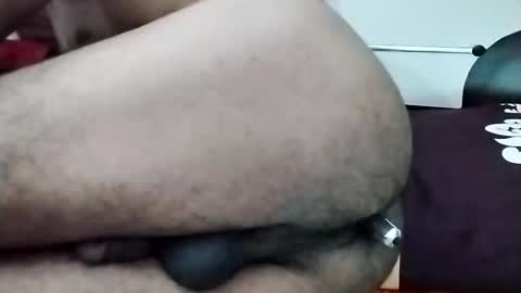 Snapshot of nooby942461 chatting on 11.13.25 sim nib online show from 11.13.25