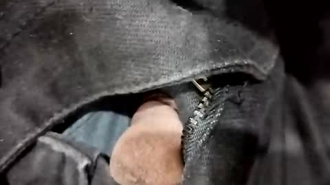 Snapshot of nooby942461 chatting on 11.20.25 sim nib online show from 11.20.25