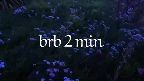 Noori online show from 04.04.26