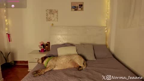Snapshot of norma_jeaane chatting on 10.04.25 Norma Jeaane online show from 10.04.25