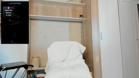 North stallions online show from 03.11.26