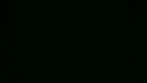 northstart080828 online show from 04.07.26