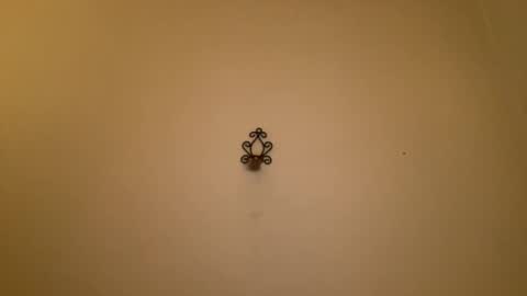 noscandal online show from 02.21.25