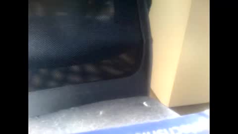 nostradamuslu online show from 11.10.25