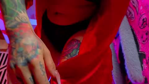 Nova kitty tx online show from 03.22.26