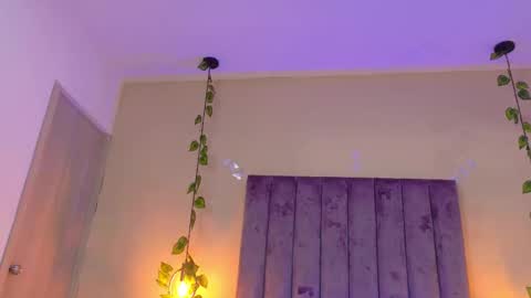 novaaa shayy online show from 02.13.26