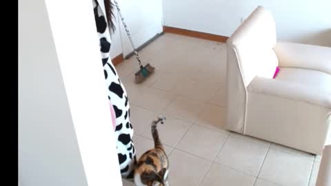 Snapshot of novaperotti chatting on 09.14.25 novaperotti online show from 09.14.25