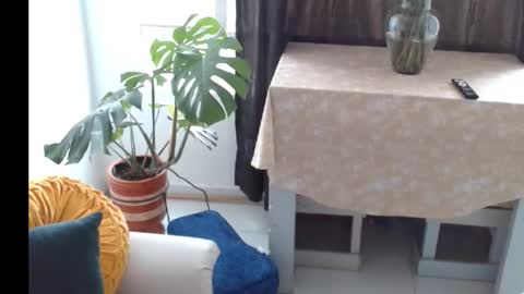 Snapshot of novaperotti chatting on 11.05.25 novaperotti online show from 11.05.25