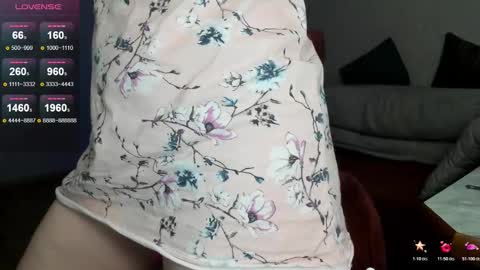 Nowelly online show from 11.01.25