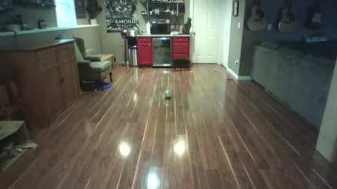 Nudistguy online show from 03.15.26