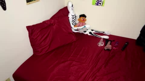 Nymphaea online show from 11.14.25