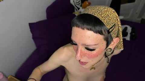 Nymphaea online show from 06.12.26