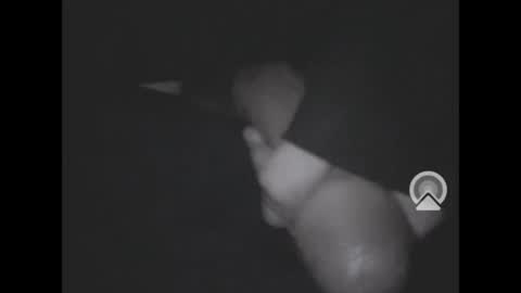 nympham online show from 04.04.26