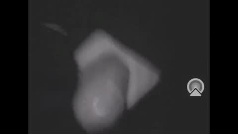 nympham online show from 04.08.26