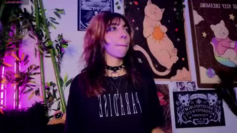   online show from 03.17.26