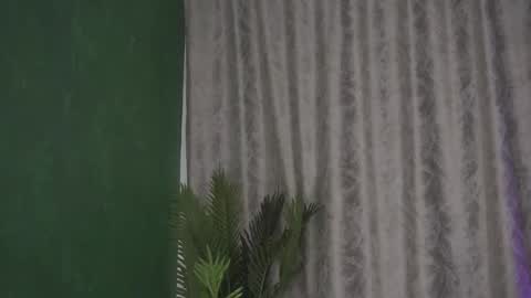 Julia online show from 02.14.25