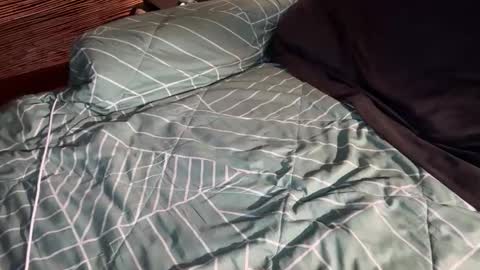 ohyea online show from 03.06.26