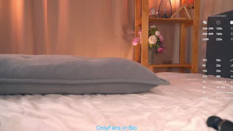 Snapshot of oke_doke chatting on 11.29.25 Henrietta or Rita online show from 11.29.25