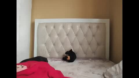 olwami4 online show from 02.22.26