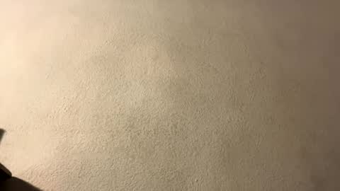 Snapshot of omgyesgurl chatting on 09.28.25 amy 3 online show from 09.28.25