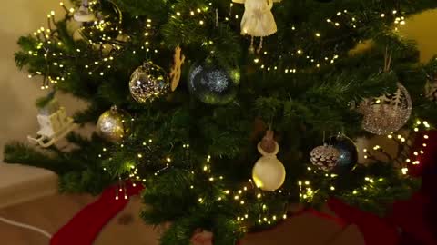    or    online show from 12.03.24