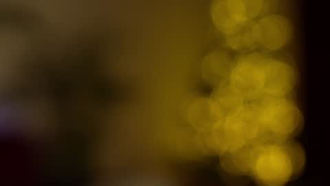    or    online show from 01.03.25