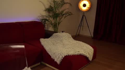    or    online show from 01.13.25