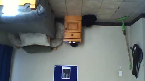 For me to know online show from 10.01.25