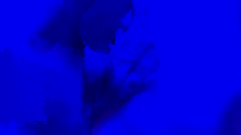 onurkneespls online show from 09.28.25