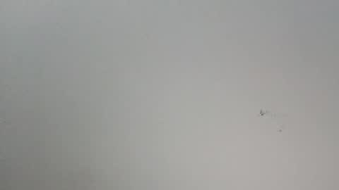 oooxxxrrr online show from 01.12.26