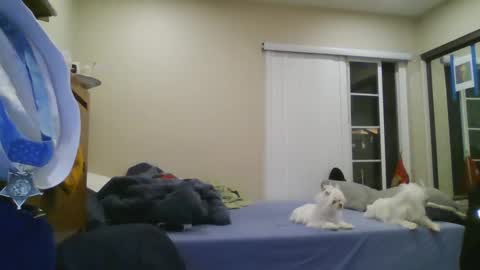 Snapshot of oorah1775 chatting on 12.22.24 oorah1775 online show from 12.22.24